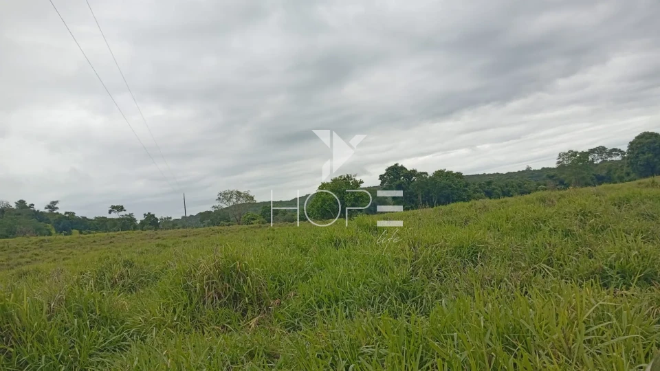 Imagens do imóveis Fazenda à venda com 260 alqueires - 201 formados - confinamento - apta para pivô - Mozarlândia GO