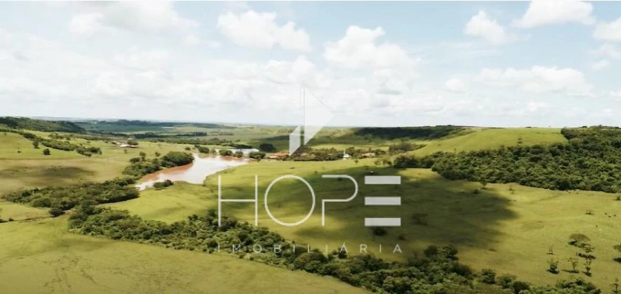 Fazenda à Venda – Região de Londrina/PR – 1.390 Alqueires – Ativo Agropecuário Multifuncional