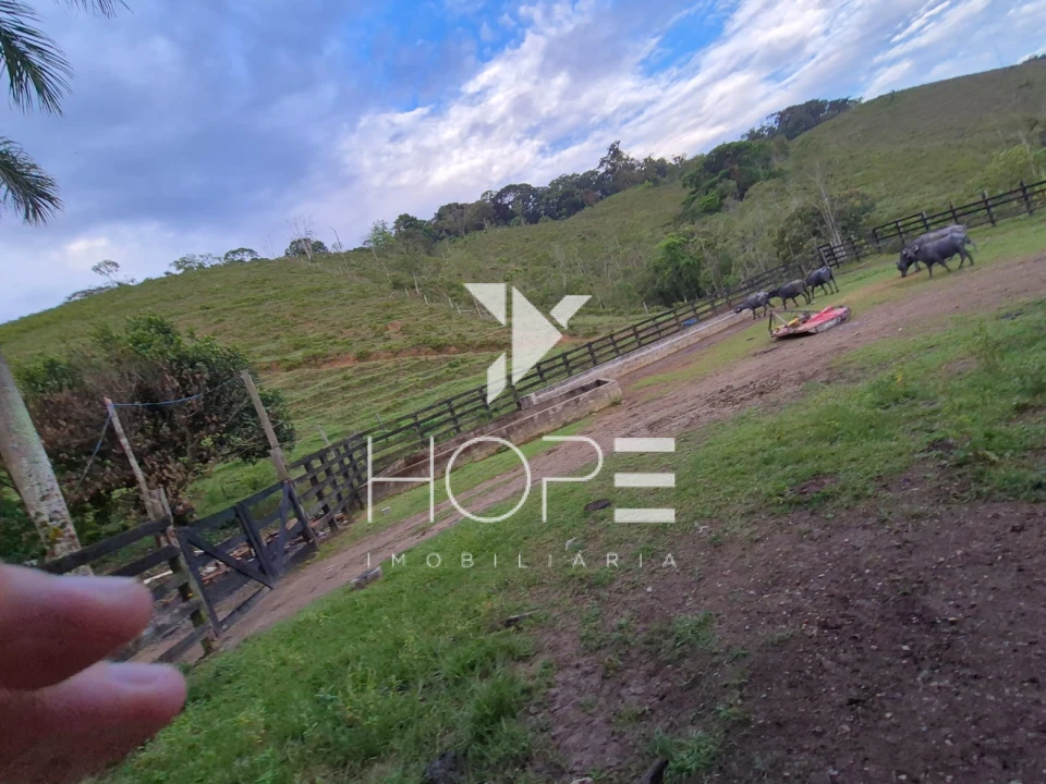 Imagens do imóveis Fazenda Produtiva à Venda na Região de Registro/SP – 174 Alqueires – Estrutura para Pecuária Leiteira – Abundância de Água