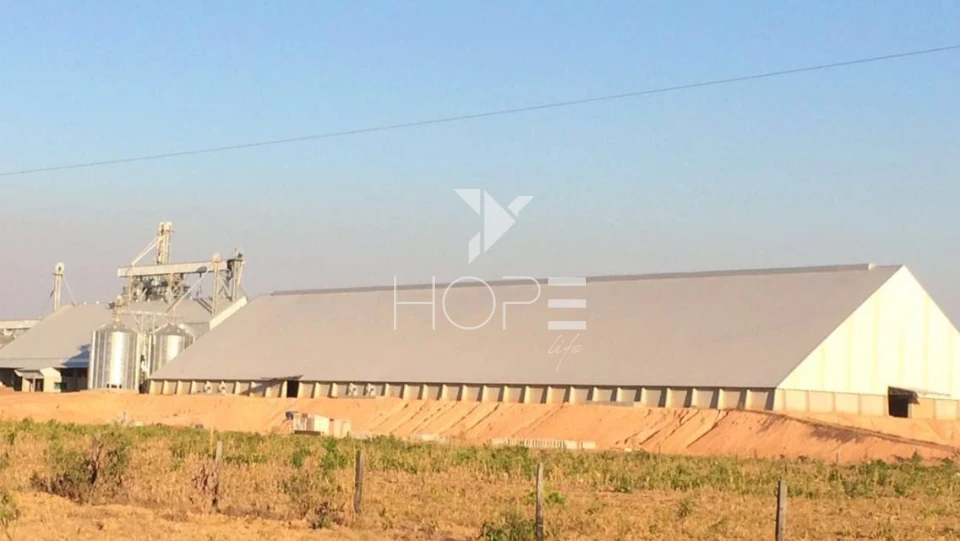 Imagens do imóveis Fazenda à venda 39.000 hectares dupla aptidão com armazém e pista de pouso – região de Confresa – Mato Grosso