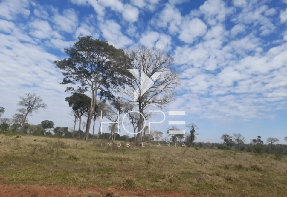Imagens do imóveis fazenda à venda 622 alqueires dupla aptidão margem de rio – município de Bataguassu – Mato Grosso do Sul