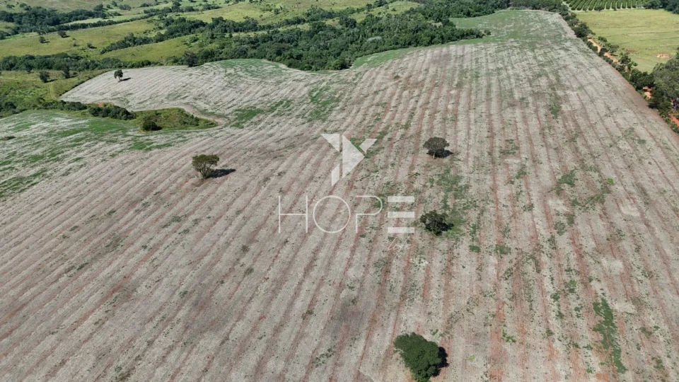 Imagens do imóveis Fazenda à venda com 133 alqueires - agricultura e pecuária - 80% de aproveitamento - Angatuba SP