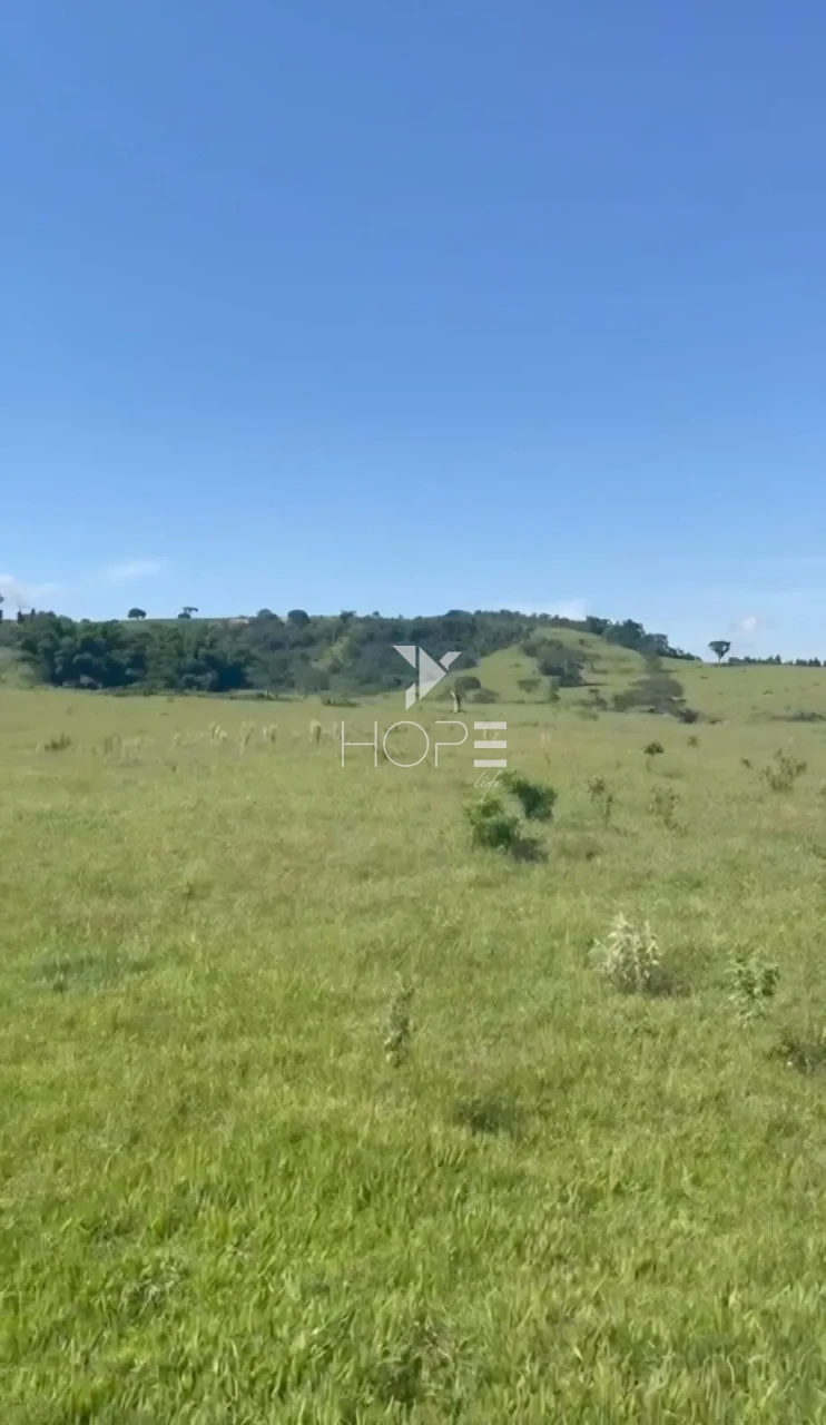 Imagens do imóveis Fazenda à venda com 204.5 alqueires - pecuária bovina - estrutura completa - região de Marília SP