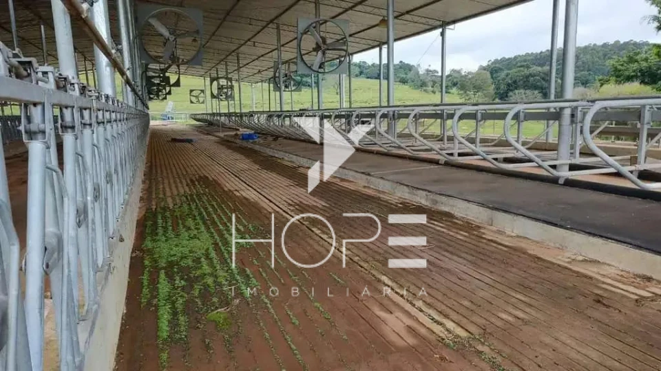 Fazenda à venda – 51 alqueires – Estrutura completa para pecuária leiteira – Angatuba/SP