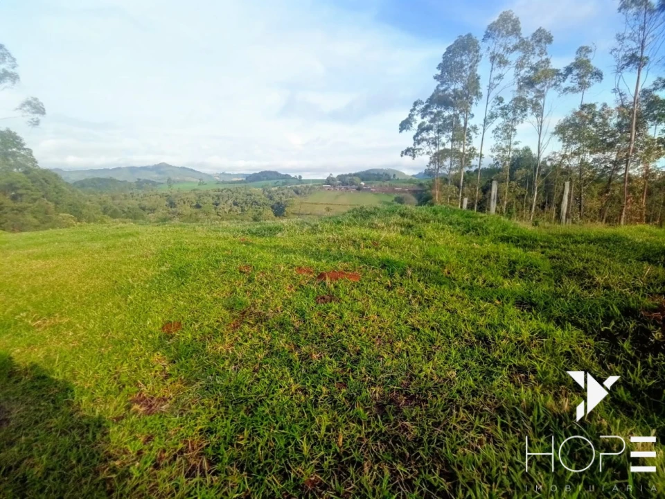 Imagens do imóveis Sítio à venda em Tamarana – Localização privilegiada na beira da estrada