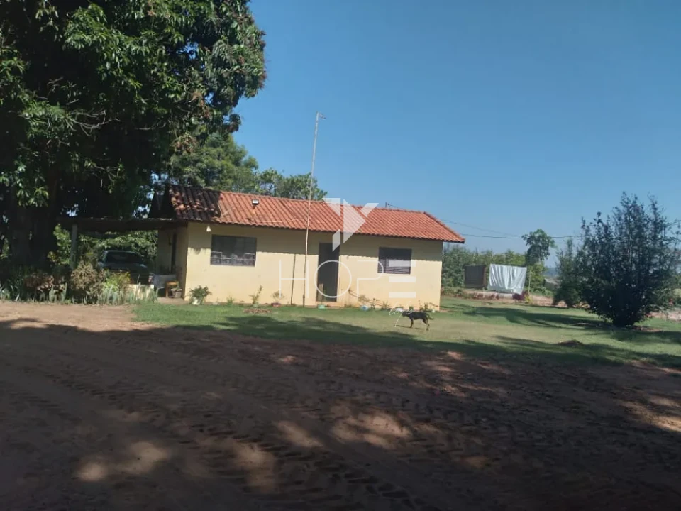 Imagens do imóveis Fazenda de laranja à venda com 77.5 alqueires - 77.150 pés - certificado para exportação - Região de Marília SP