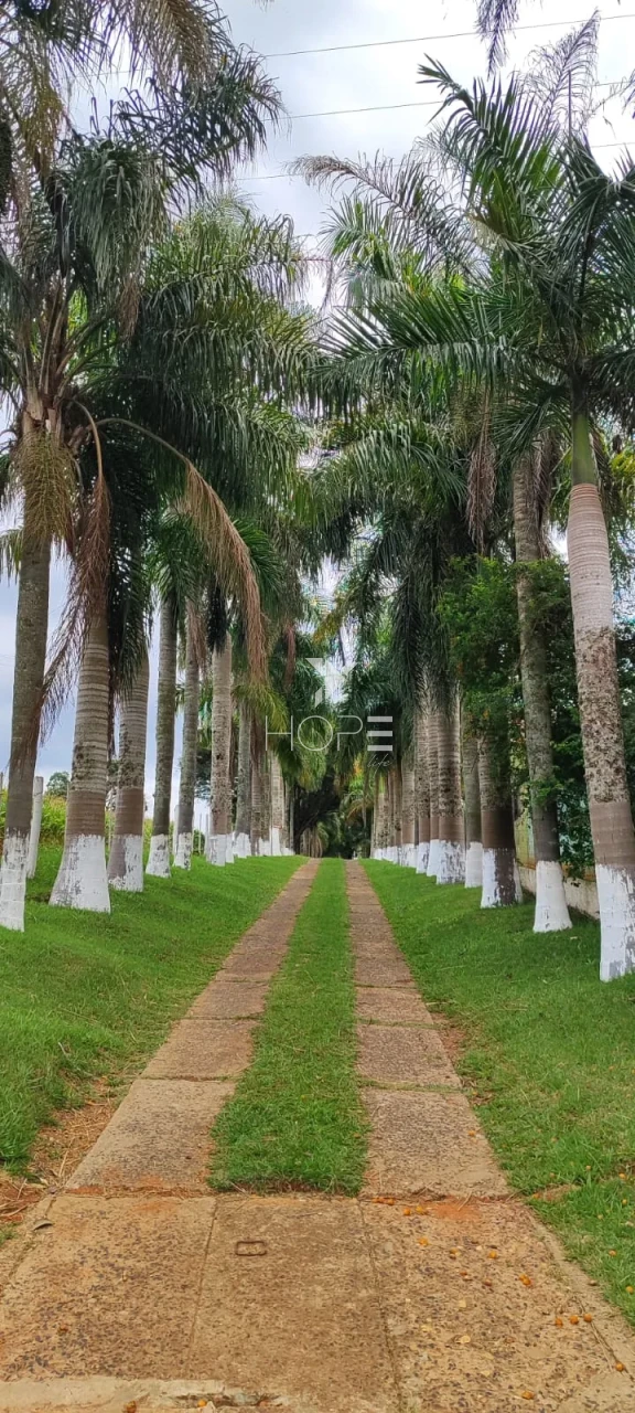Imagens do imóveis Sítio porteira fechada à venda com 17.66 alqueires - agricultura e pecuária - Itapetininga SP