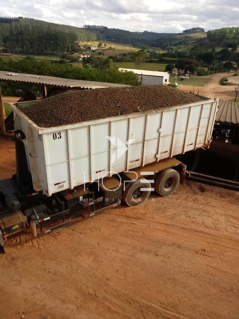 Imagens do imóveis fazenda cafeeira à venda 970 hectares produção de exportação – município de Capelinha – Minas Gerais