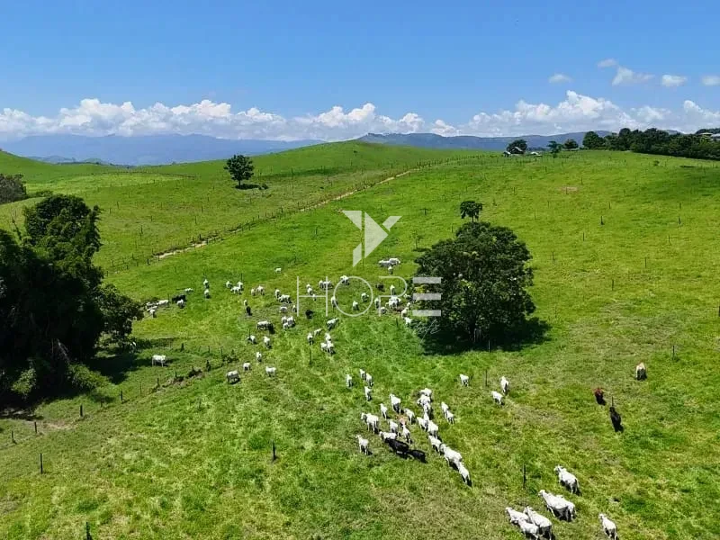Imagens do imóveis Fazenda à Venda - Cachoeira Paulista – 215,38 Hectares – Vale do Paraíba – Barra Mansa/RJ