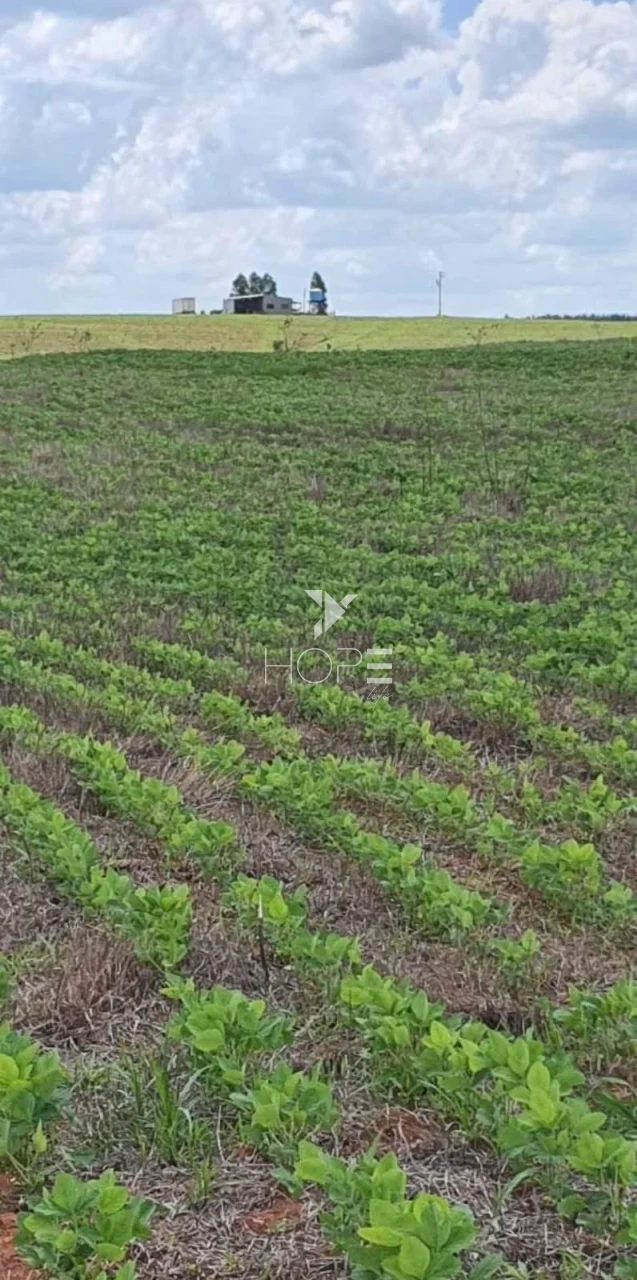 Imagens do imóveis Fazenda à Venda - Solo Misto – 174,24 Hectares – Bauru/SP