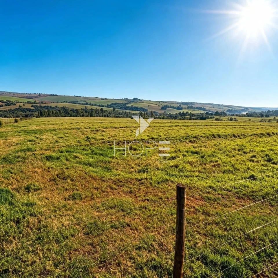 Imagens do imóveis Fazenda à Venda - Agricultura e Pecuária - Topografia Plana – 5.359 Hectares – Sonora – Sonora/MS