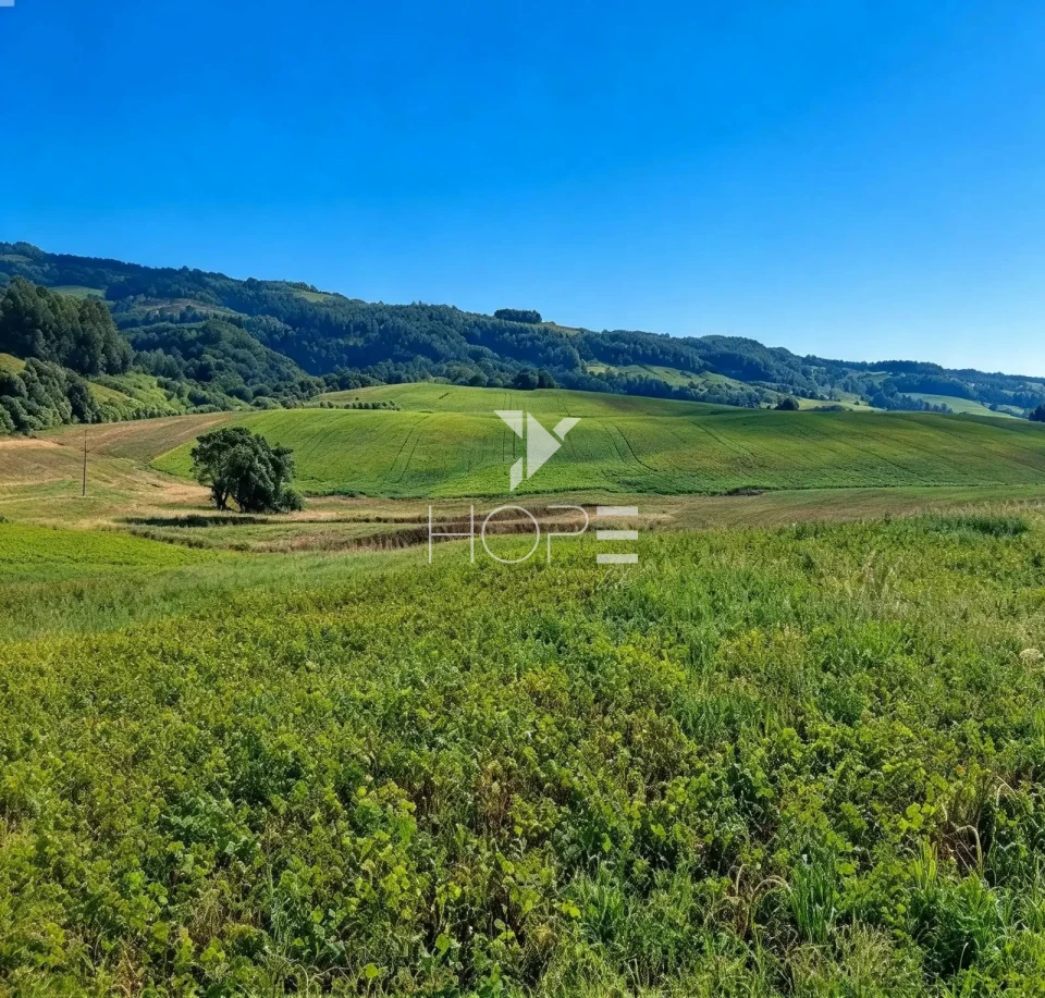 Imagens do imóveis Fazenda à Venda com Dupla Aptidão - Pecuária e Agricultura – 495 Alqueires – Francisco Beltrão – Francisco Beltrão/PR