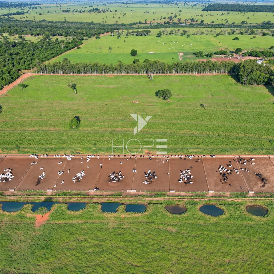 Imagens do imóveis Fazenda à Venda com Aptidão Pecuária – 235 Alqueires – Nova Andradina – Nova Andradina/MS