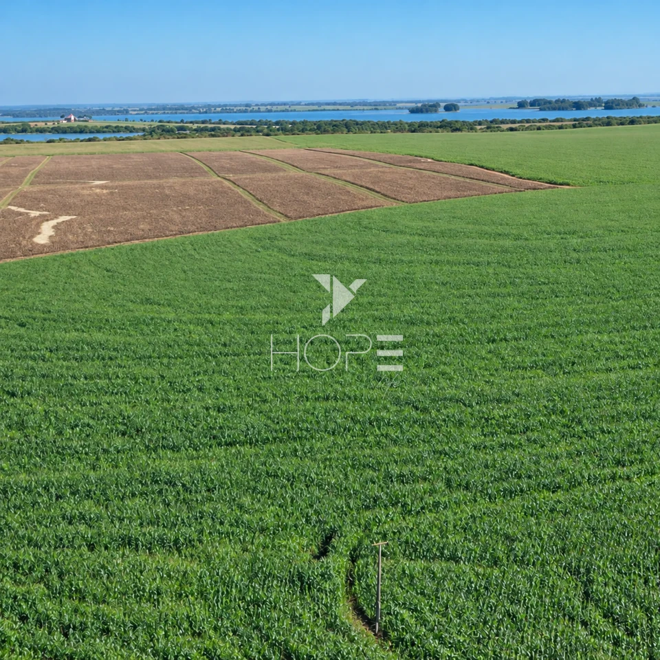 Imagens do imóveis Fazenda á Venda - 755 Hectares - Frente para a Represa do Rio Tibagi - Sertaneja/PR