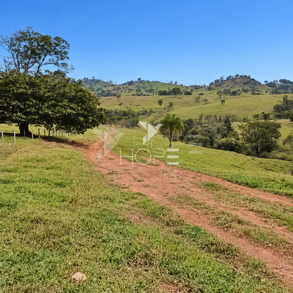 Imagens do imóveis Fazenda à Venda – Zona Rural – Rubiataba/GO