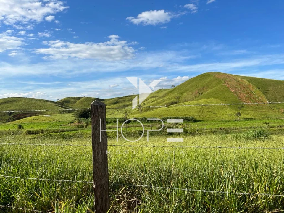 Imagens do imóveis Fazenda à venda 330 Alqueires – agricultura e pecuária estrutura completa – Vale do Paraíba – São Paulo