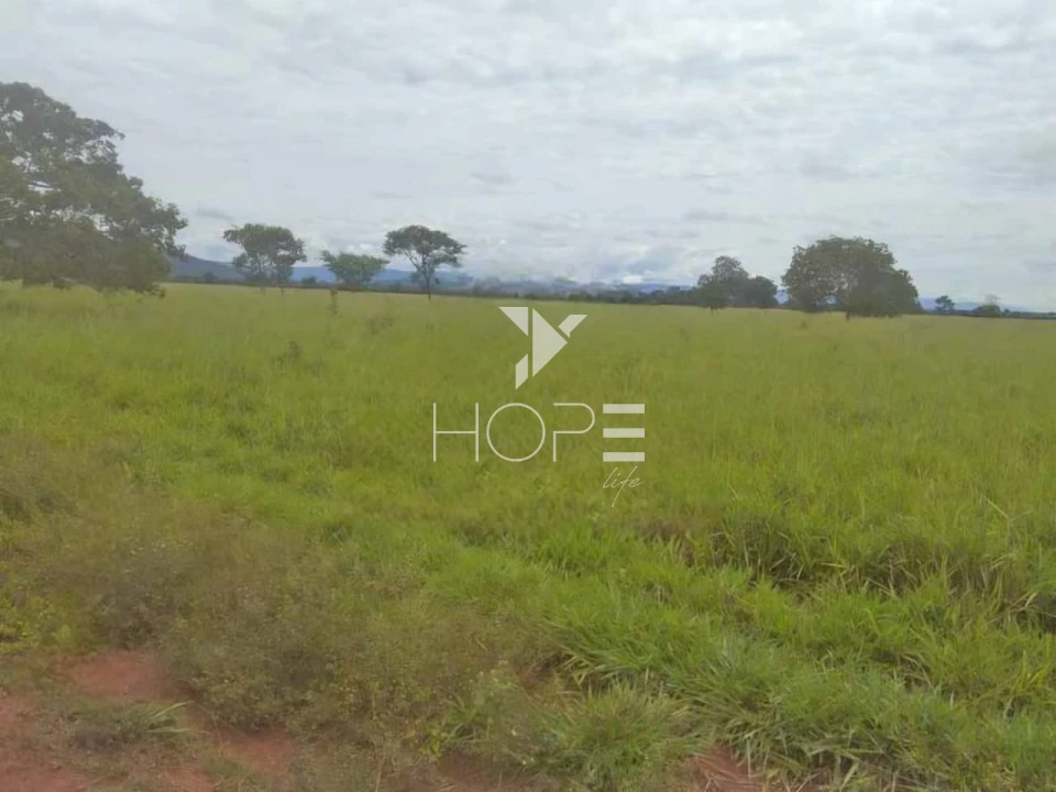 Imagens do imóveis Fazenda à venda 1.000 alqueires pecuária porteira fechada com pista de pouso – Formosa – Goiás