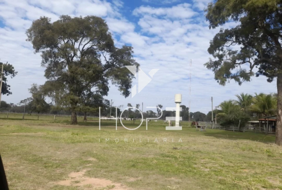 Imagens do imóveis fazenda à venda 622 alqueires dupla aptidão margem de rio – município de Bataguassu – Mato Grosso do Sul