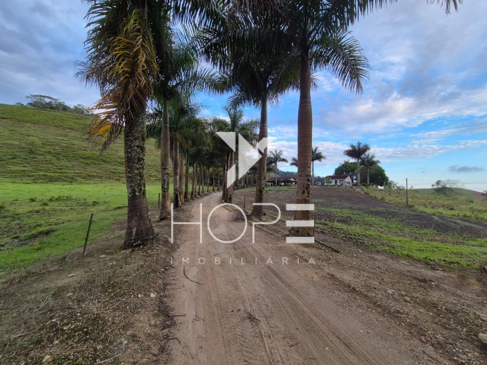 Imagens do imóveis Fazenda Produtiva à Venda na Região de Registro/SP – 174 Alqueires – Estrutura para Pecuária Leiteira – Abundância de Água