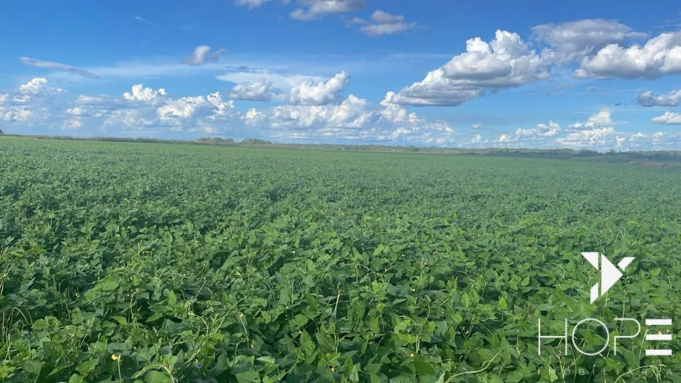 Imagens do imóveis Fazenda à Venda – Primavera do Leste – MT