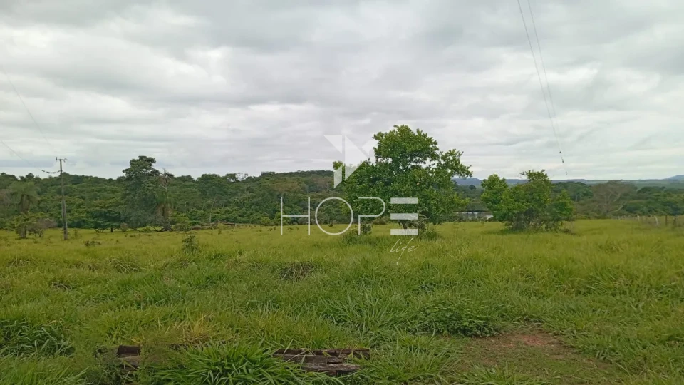 Imagens do imóveis Fazenda à venda com 260 alqueires - 201 formados - confinamento - apta para pivô - Mozarlândia GO