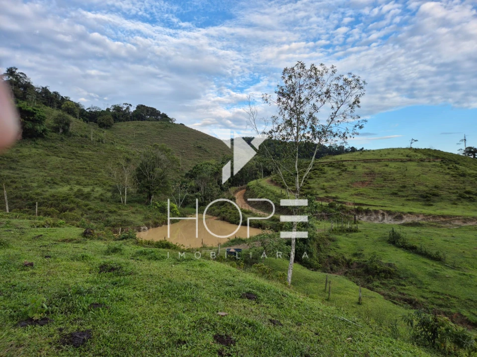 Imagens do imóveis Fazenda Produtiva à Venda na Região de Registro/SP – 174 Alqueires – Estrutura para Pecuária Leiteira – Abundância de Água