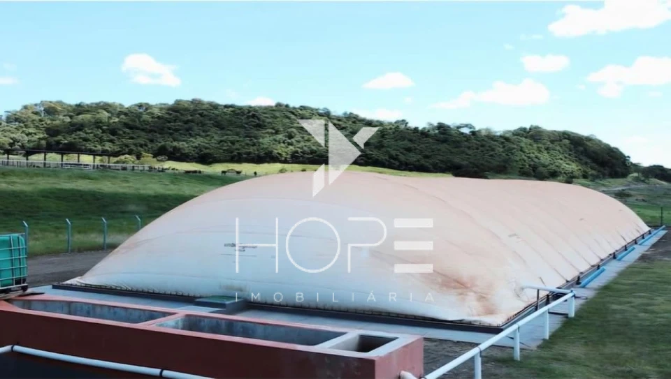 Fazenda à Venda – Região de Londrina/PR – 1.390 Alqueires – Ativo Agropecuário Multifuncional