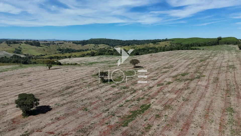 Imagens do imóveis Fazenda à venda com 133 alqueires - agricultura e pecuária - 80% de aproveitamento - Angatuba SP
