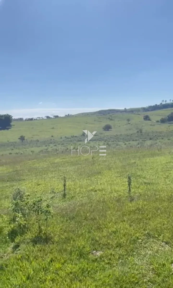 Imagens do imóveis Fazenda à venda com 204.5 alqueires - pecuária bovina - estrutura completa - região de Marília SP