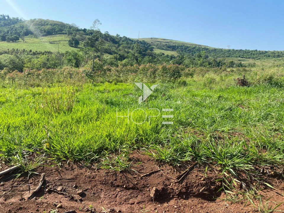 Imagens do imóveis Fazenda à venda com 31.5 alqueires - Estrutura Completa para Lavoura e Gado - Apucarana PR