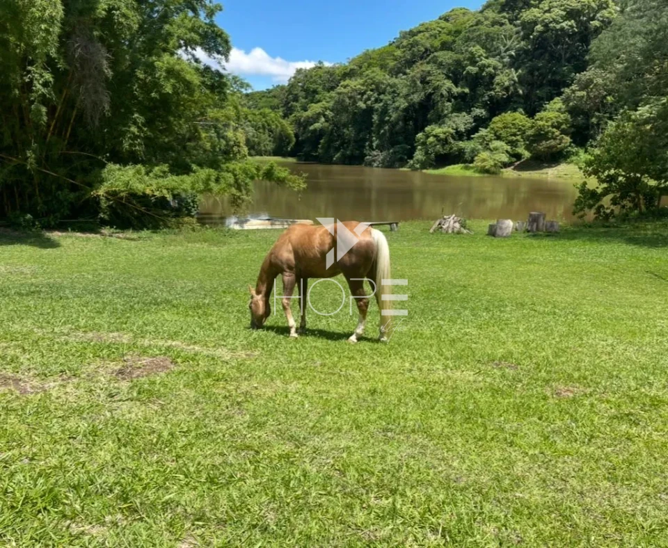 Imagens do imóveis Haras de alto padrão à venda com 7 alqueires - 36 baias - 26 piquetes - São Roque SP