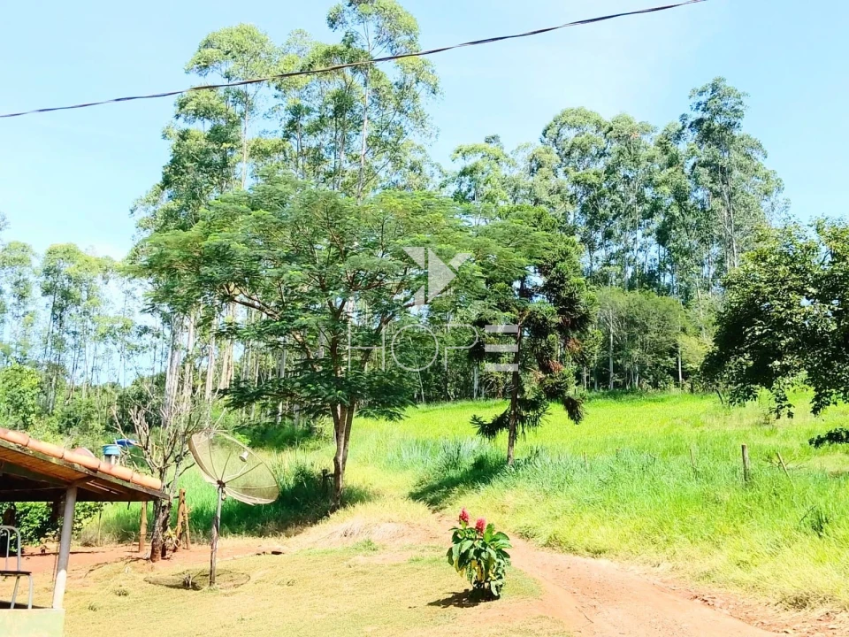 Fazenda à venda com 76 alqueires - pecuária com potencial agrícola - Guaravera - Londrina PR