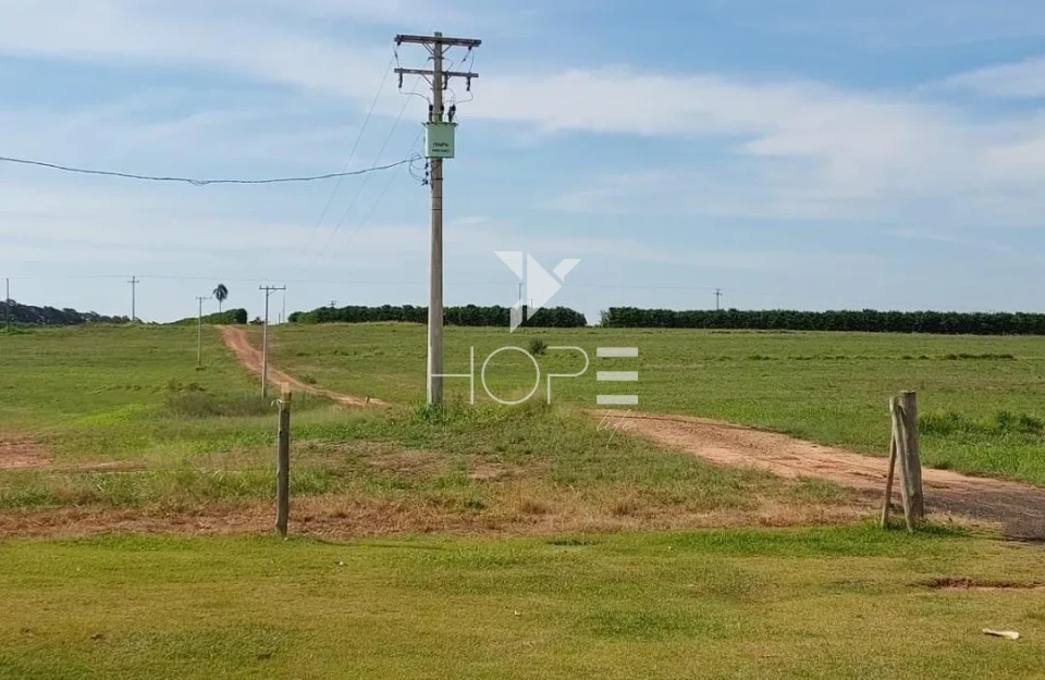 Imagens do imóveis Fazenda à Venda - Solo Misto – 174,24 Hectares – Bauru/SP