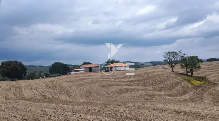 Imagens do imóveis Fazenda à Venda de Terra Roxa – 92 Alqueires – São Pedro do Ivaí/PR