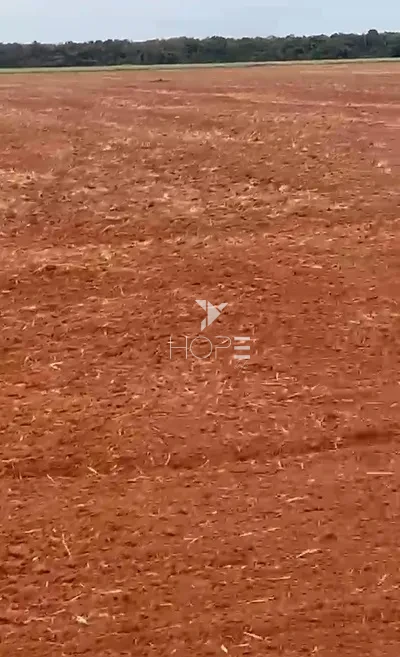 Imagens do imóveis Fazenda à Venda 100% de Plantio – 50 Alqueires – Região de Anhumas/SP