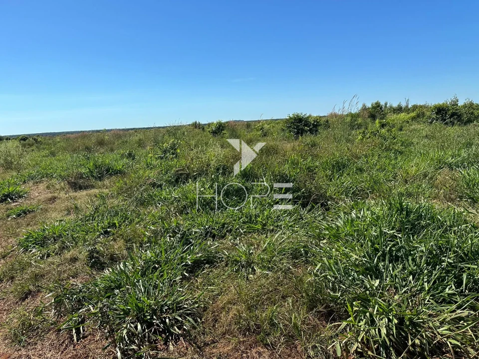 Imagens do imóveis Fazenda à Venda no Mato Grosso do Sul – 223 Alqueires – Rosário Oeste