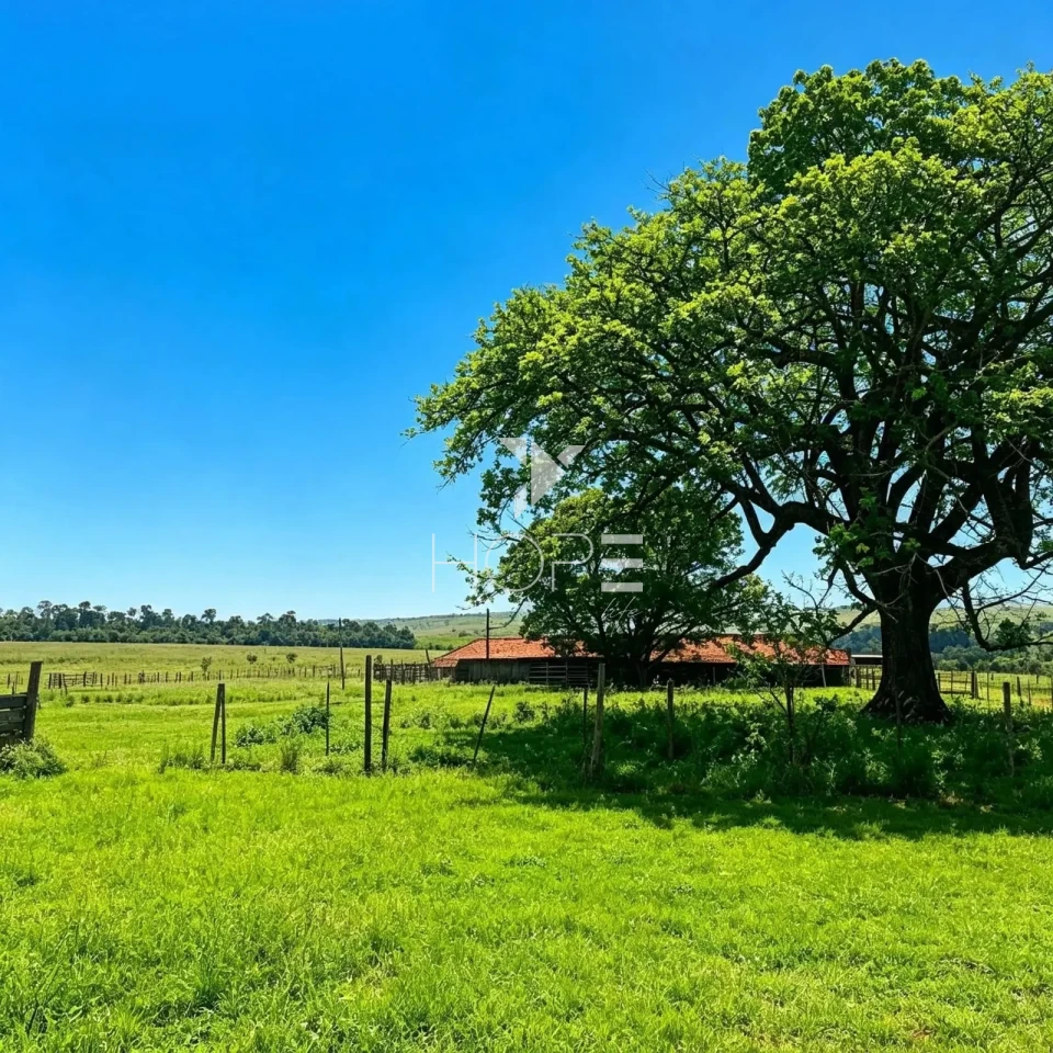 Imagens do imóveis Fazenda à Venda com 90% de aproveitamento – 165 Alqueires – Bentópolis