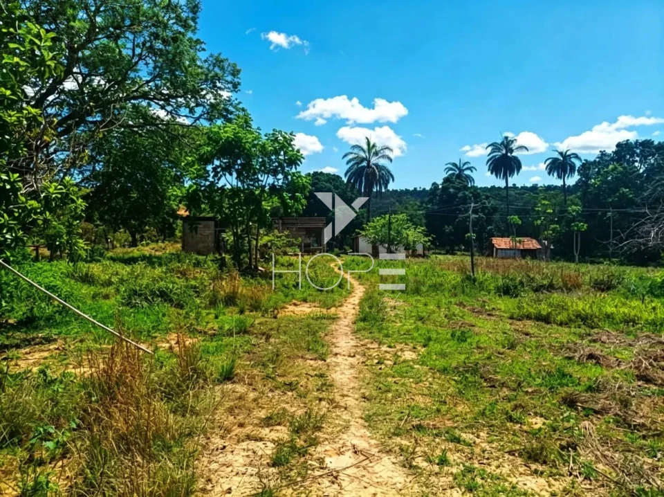 Fazenda à Venda com Aptidão Pecuária – 364 Hectáres – Três Marias/MG