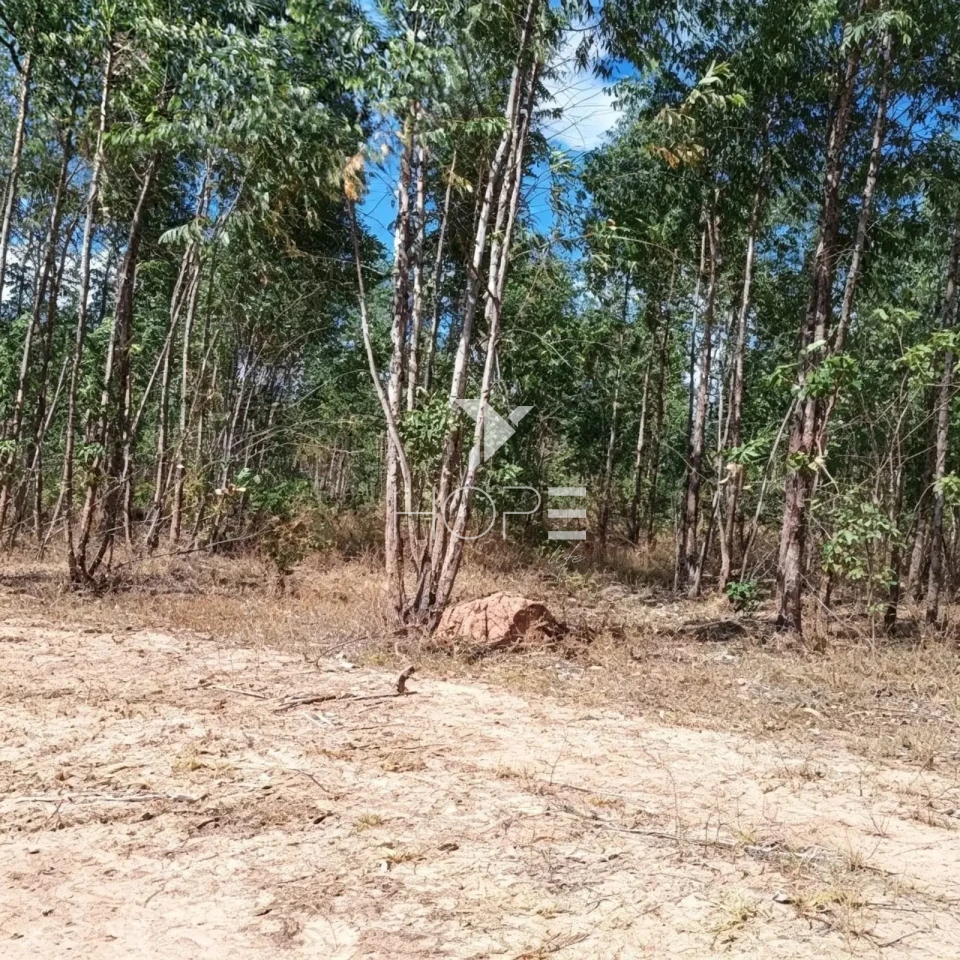 Fazenda à Venda com Aptidão Pecuária e Florestal – 513 Hectares – Brasilândia de Minas/MG