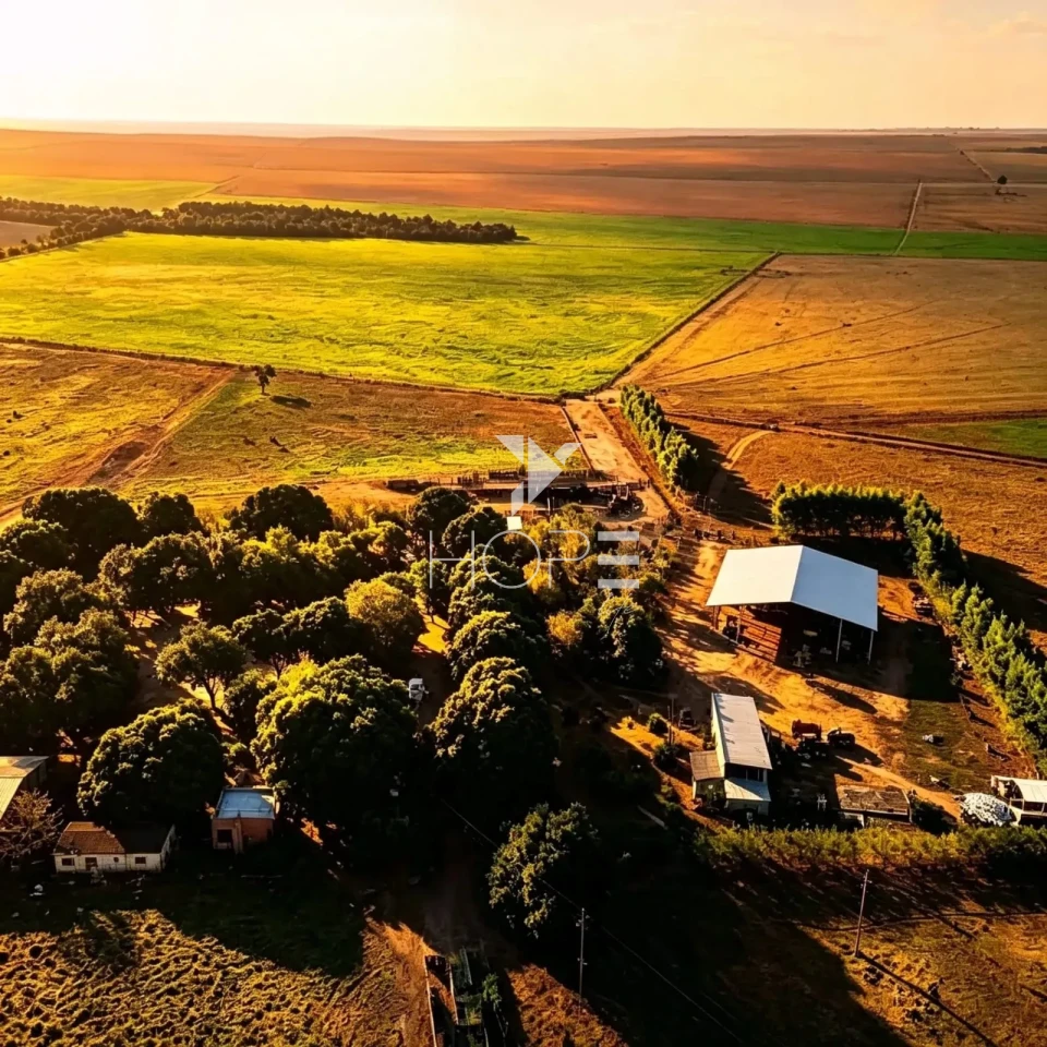 Imagens do imóveis Fazenda à Venda - Agricultura e Pecuária - Topografia Plana – 5.359 Hectares – Sonora – Sonora/MS