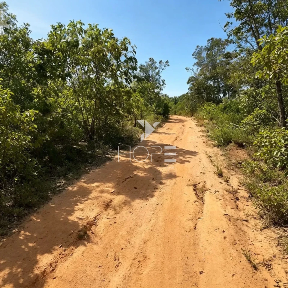 Mega Fazenda à Venda - Aptidão Agropecuária – 13.000 Hectares – Tocantins 