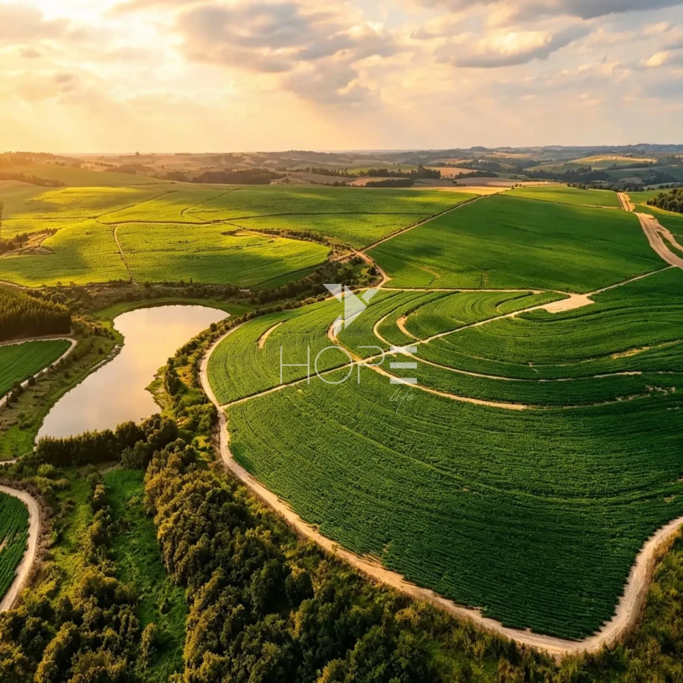 Imagens do imóveis Fazenda à Venda - Topografia Plana – Docuntação Regularizada -  237 Alqueires – Itu/SP