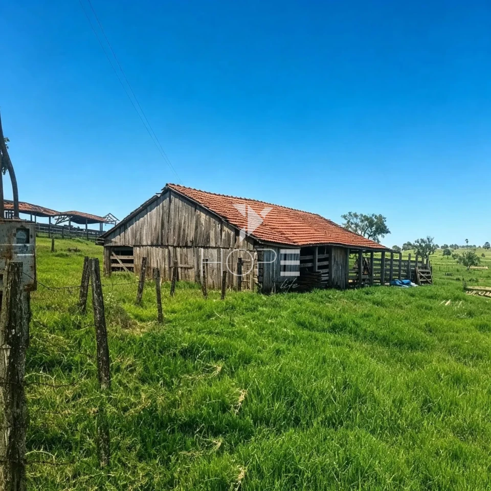 Imagens do imóveis Fazenda à Venda - 3km da Cidade – 183,77 Alqueires – Paranavaí – Paranavaí/PR