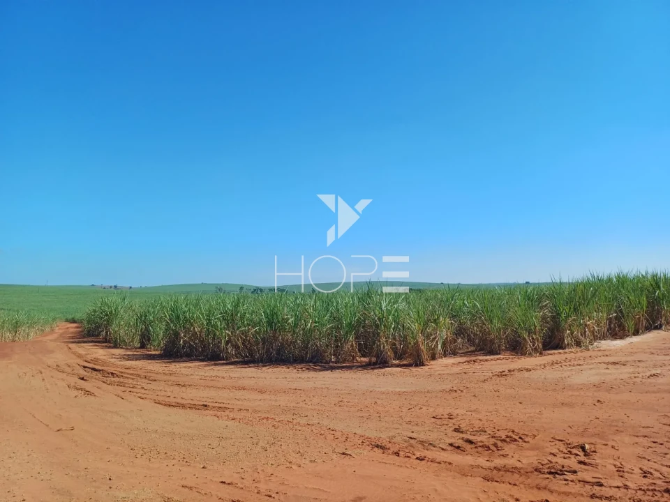 Imagens do imóveis Fazenda à Venda – 100 Alqueires – Região da Usina Alto Alegre – Colorado/PR