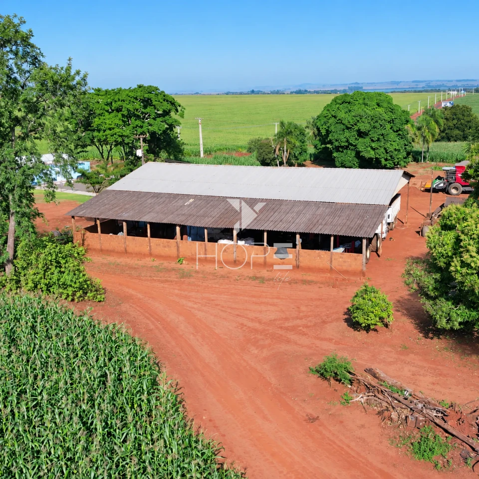 Imagens do imóveis Fazenda á Venda - 755 Hectares - Frente para a Represa do Rio Tibagi - Sertaneja/PR