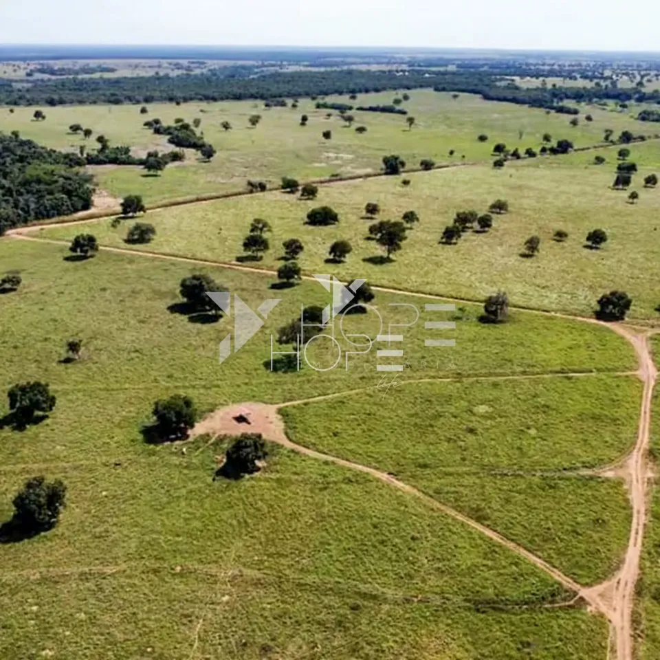 Imagens do imóveis Fazenda à Venda – Mundo Novo/GO