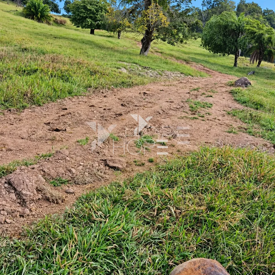 Imagens do imóveis Fazenda à Venda – Zona Rural – Rubiataba/GO