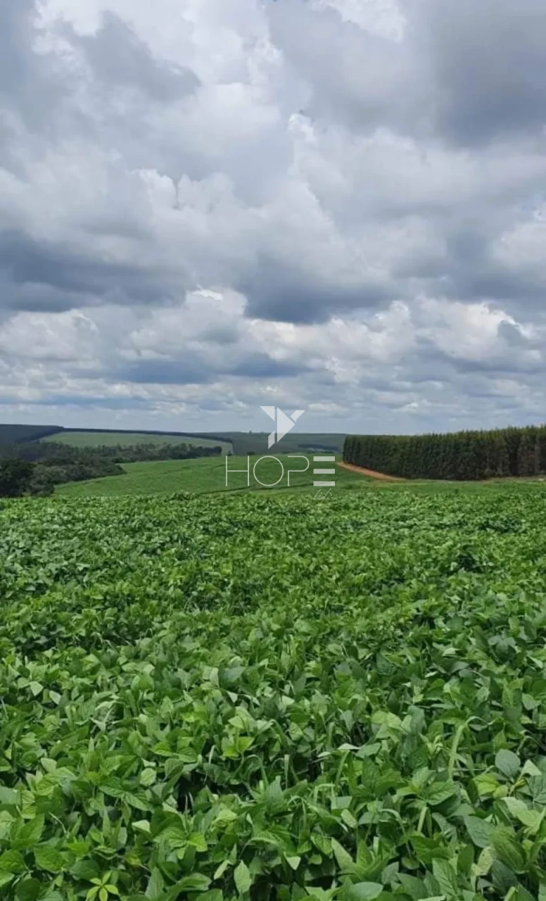 Imagens do imóveis Fazenda à Venda - Solo Misto – 174,24 Hectares – Bauru/SP