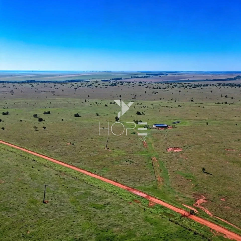 Imagens do imóveis Fazenda à Venda com Aptidão Pecuária - Topografia Plana – 560 Alqueires – Rosana/SP - Fronteira SP - PR - MS