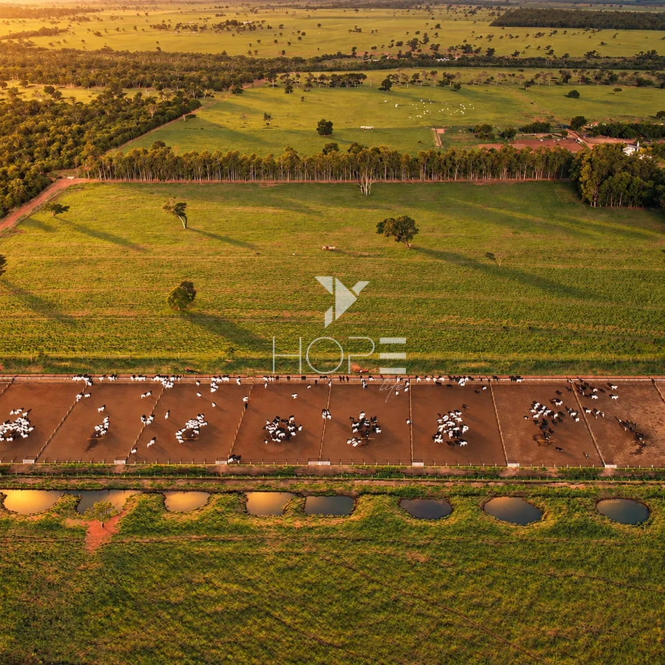 Imagens do imóveis Fazenda à Venda com Aptidão Pecuária – 235 Alqueires – Nova Andradina – Nova Andradina/MS